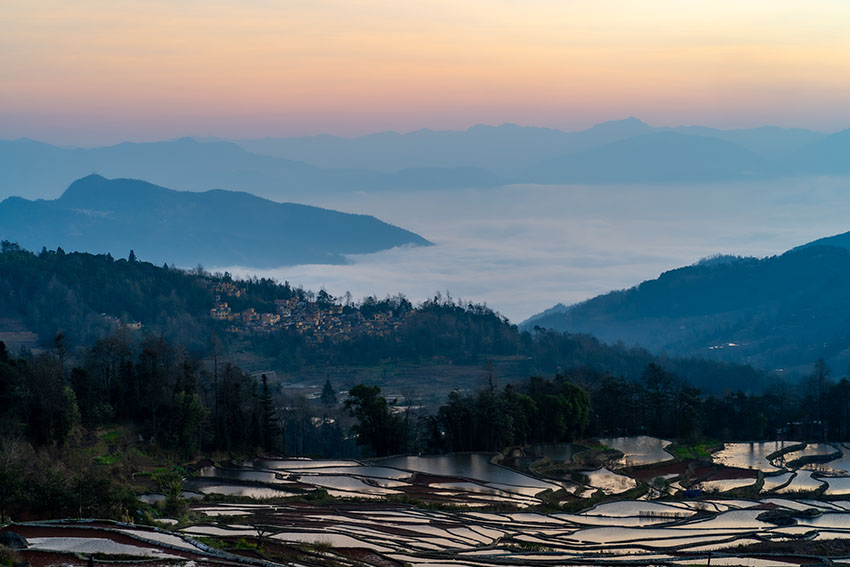 雲(yún)南省紅河哈尼（ハニ）族彝（イ）族自治州元陽県の棚田と雲(yún)海（撮影·比屋根悠亮）。