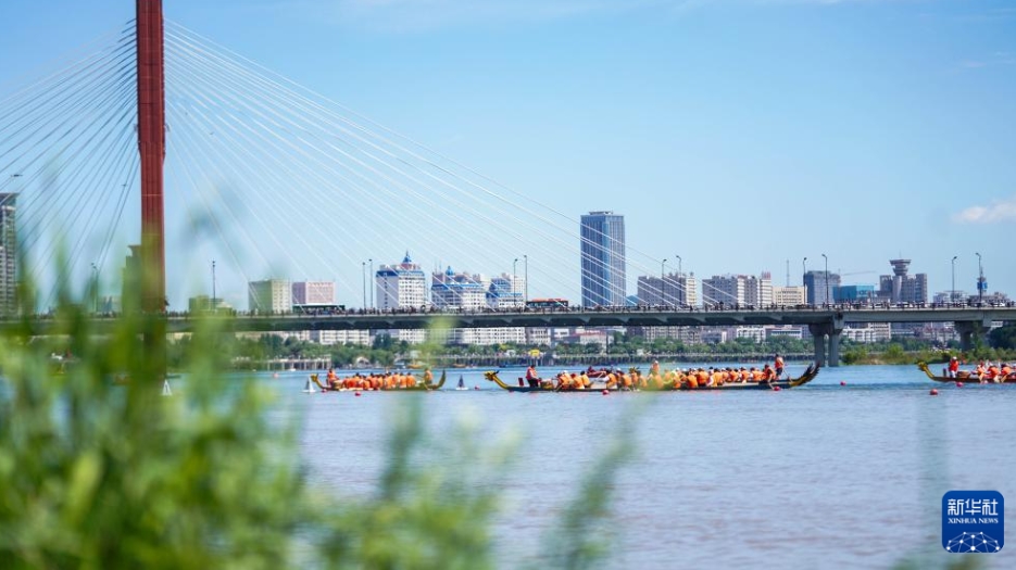 ドラゴンボートレースで端午節(jié)を祝う