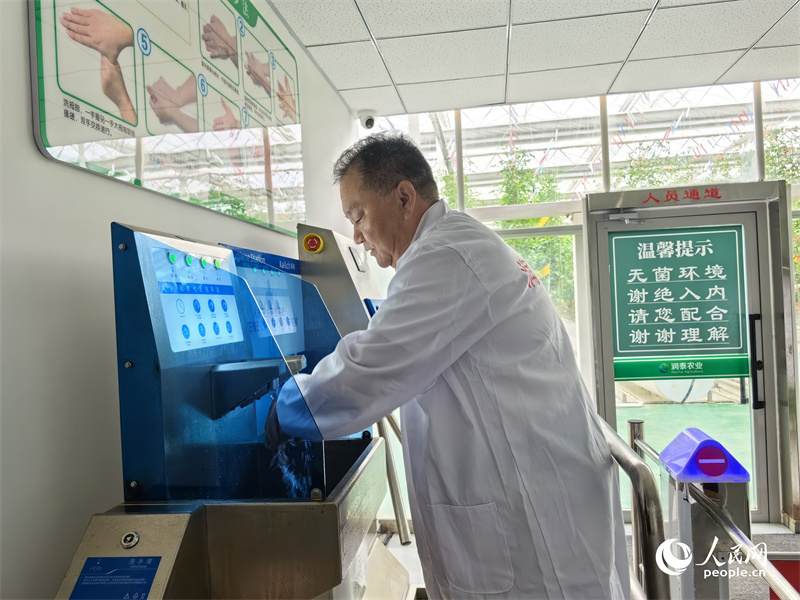 人員衛(wèi)生管理システムを通過(guò)しパークに入る作業(yè)員。撮影?陳新輝