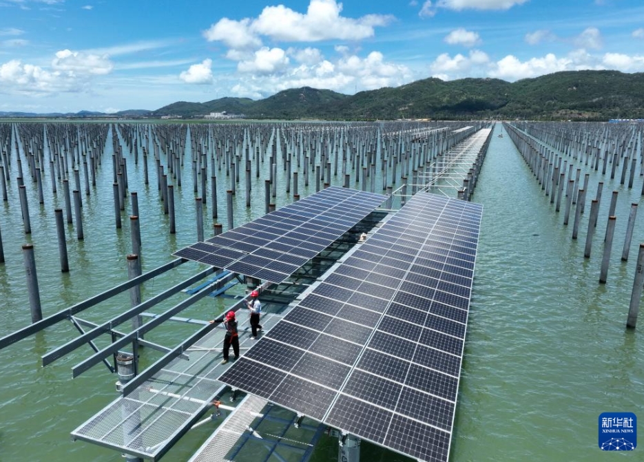 急ピッチで建設(shè)が進(jìn)む洋上太陽光発電所　福建省