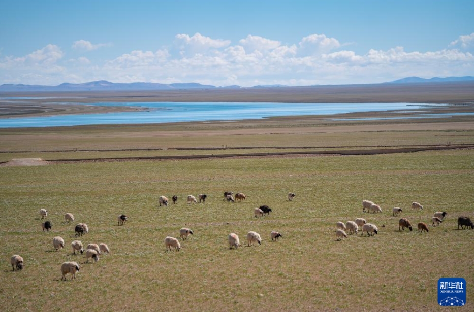 西蔵自治區(qū)最大の湖「色林錯(cuò)」の夏景色
