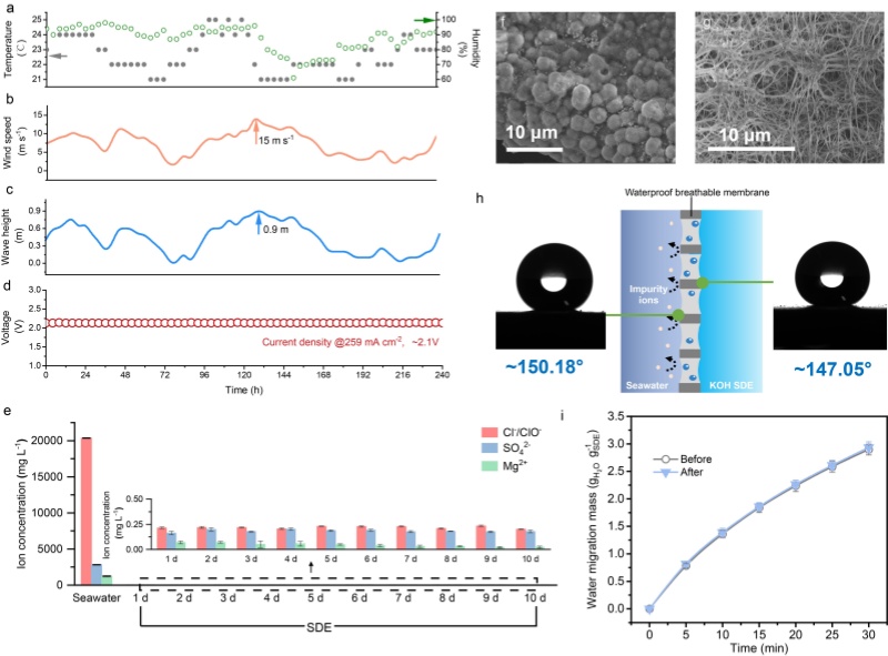 実際の海の環(huán)境（福建省興化灣）における直接海水電解水素製造の信頼性と安定性（寫真提供?科學(xué)研究チーム）。