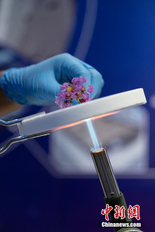 キッチン用品に留まらず、進(jìn)化し続けるセラミック材料　山東省