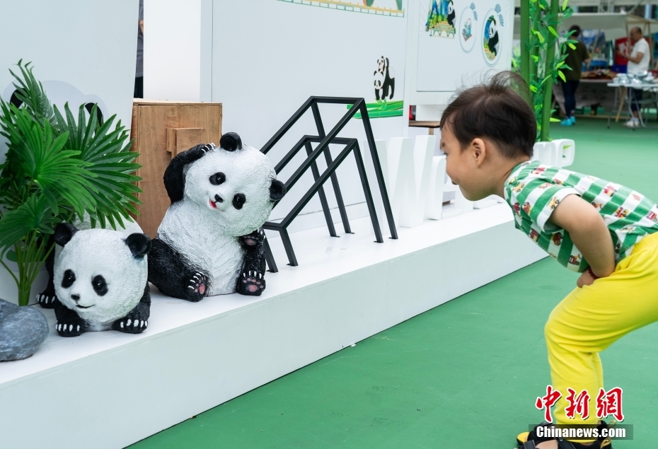 中國中央政府、つがいのパンダを香港特區(qū)に贈呈へ