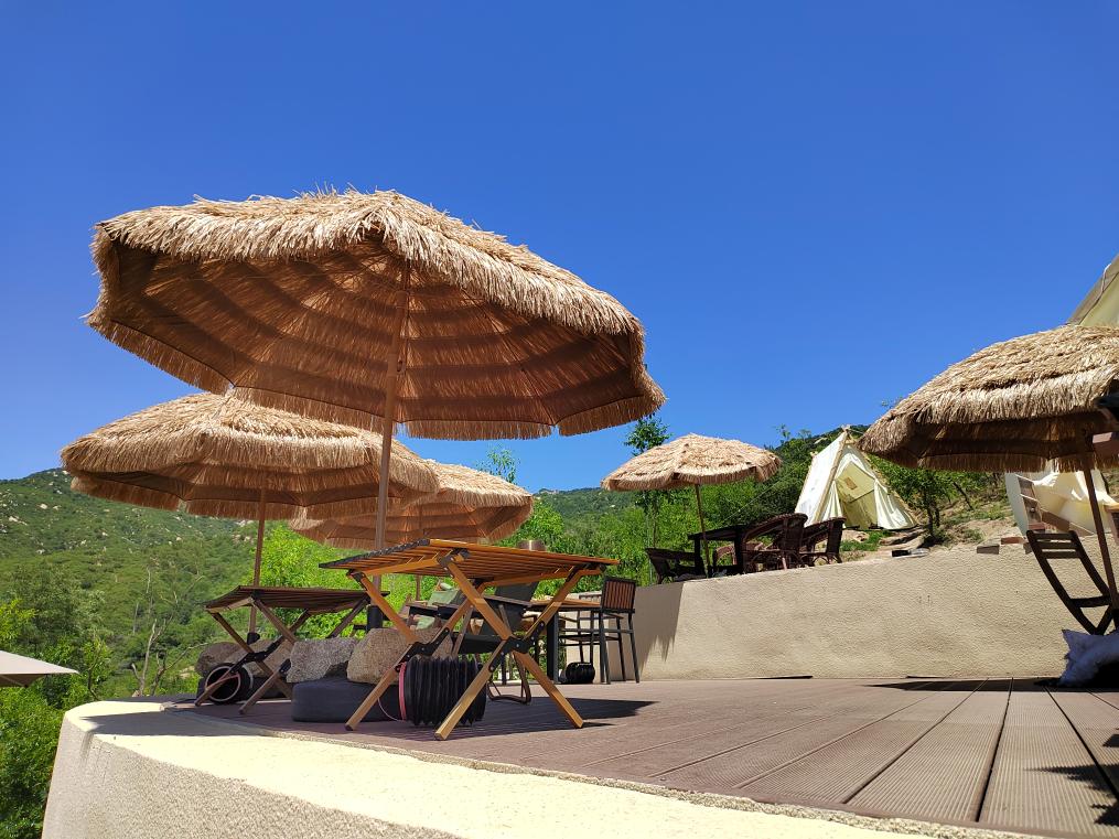 6月12日に撮影した「嵄落カフェ」（撮影?張晨霖）。