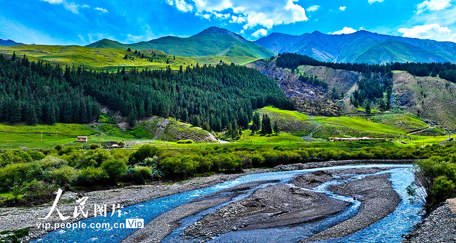 祁連山國家公園の魅力的な夏景色　甘粛省粛南