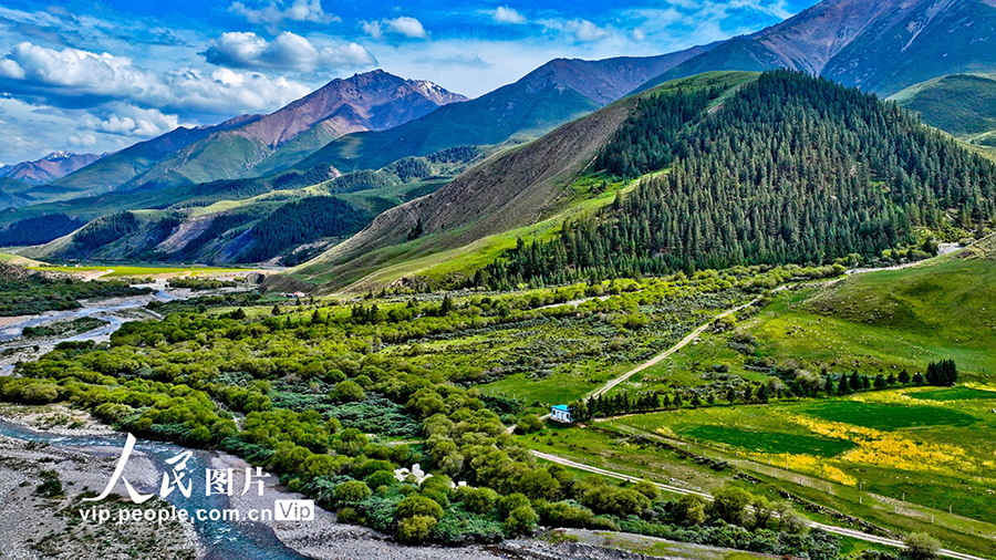 祁連山國家公園の魅力的な夏景色　甘粛省粛南