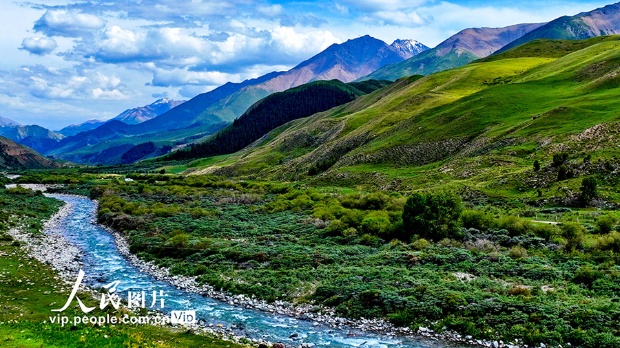 祁連山國(guó)家公園の魅力的な夏景色　甘粛省粛南