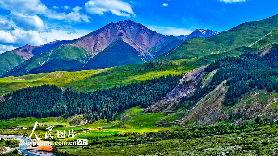 祁連山國家公園の魅力的な夏景色　甘粛省粛南