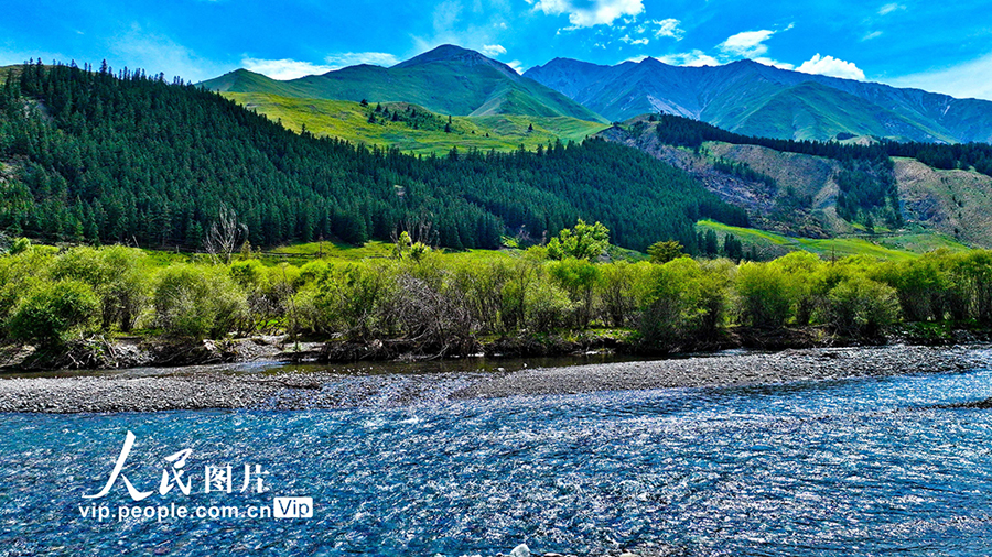 祁連山國家公園の魅力的な夏景色　甘粛省粛南