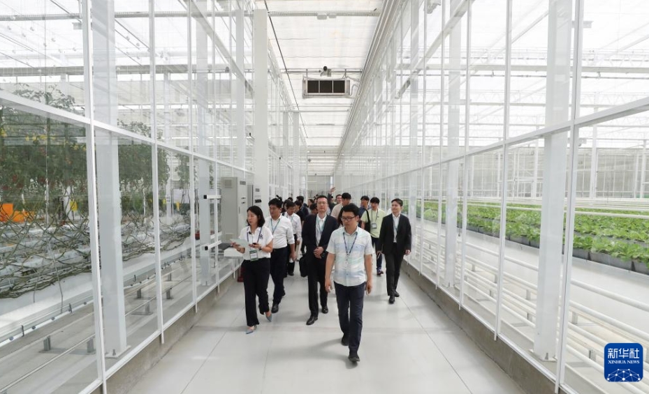 韓國で第2回中日韓若手農村指導者交流プログラムがスタート