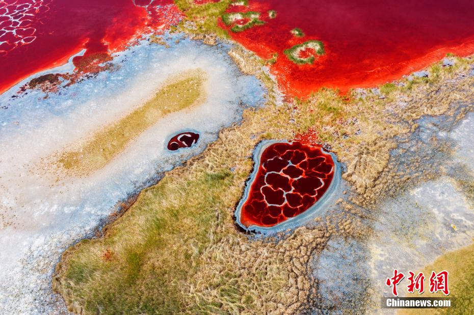 金色の砂漠にある真紅の湖　內(nèi)蒙古