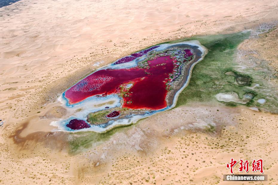 金色の砂漠にある真紅の湖　內蒙古