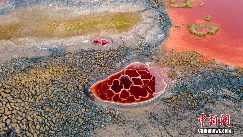 金色の砂漠にある真紅の湖　內(nèi)蒙古