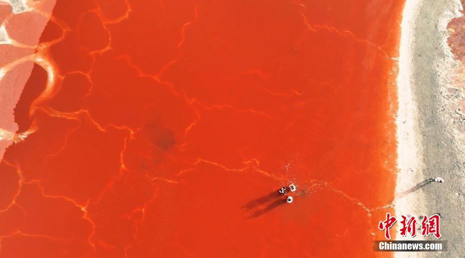 金色の砂漠にある真紅の湖　內(nèi)蒙古