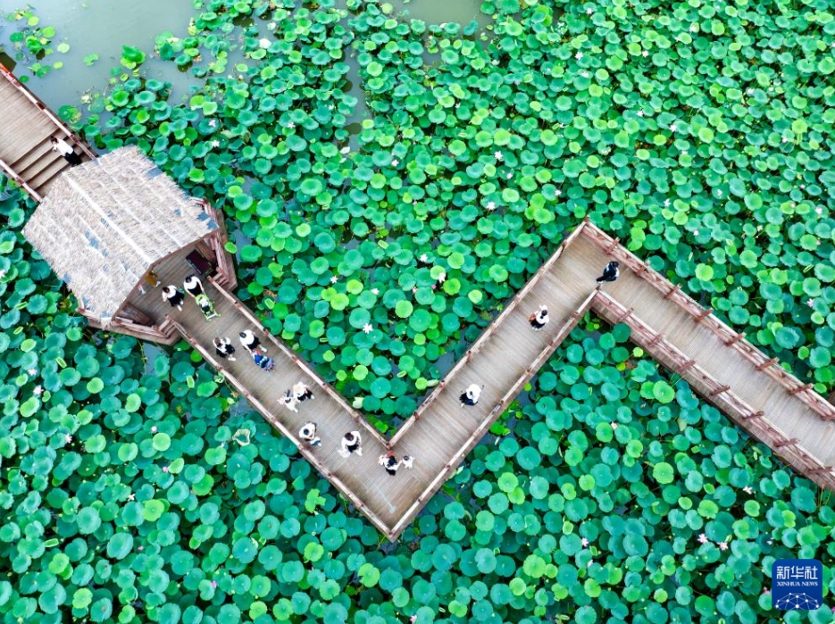 夏休み旅行楽しむ人々で賑わい見せる中國各地の観光地