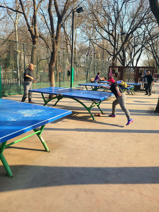 卓球大國の根幹