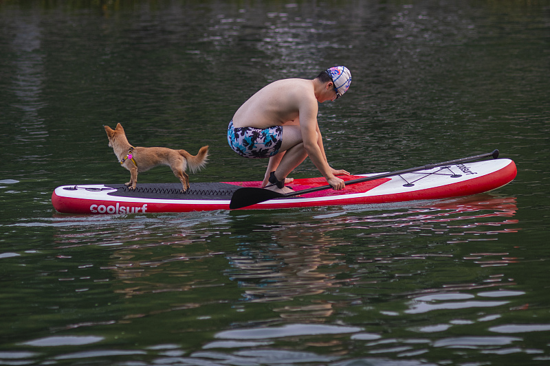 （畫像著作権はCFP視覚中國所有のため転載禁止）