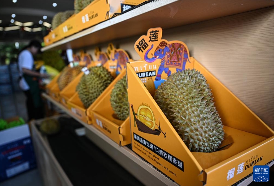 農(nóng)村振興をバックアップする國(guó)産ドリアン産業(yè)の発展　海南省三亜