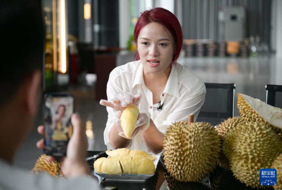 農(nóng)村振興をバックアップする國(guó)産ドリアン産業(yè)の発展　海南省三亜