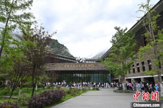 中國ジャイアントパンダ保護(hù)研究センター?臥竜神樹坪基地の前にできた長蛇の列（7月20日撮影?安源）。