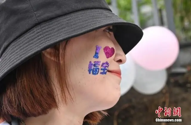 パンダ「福寶」のファン。