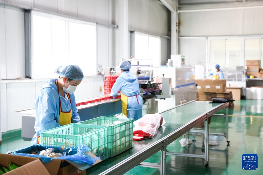 名物の麻辣燙を中核として産業(yè)の融合発展を促進　甘粛?天水