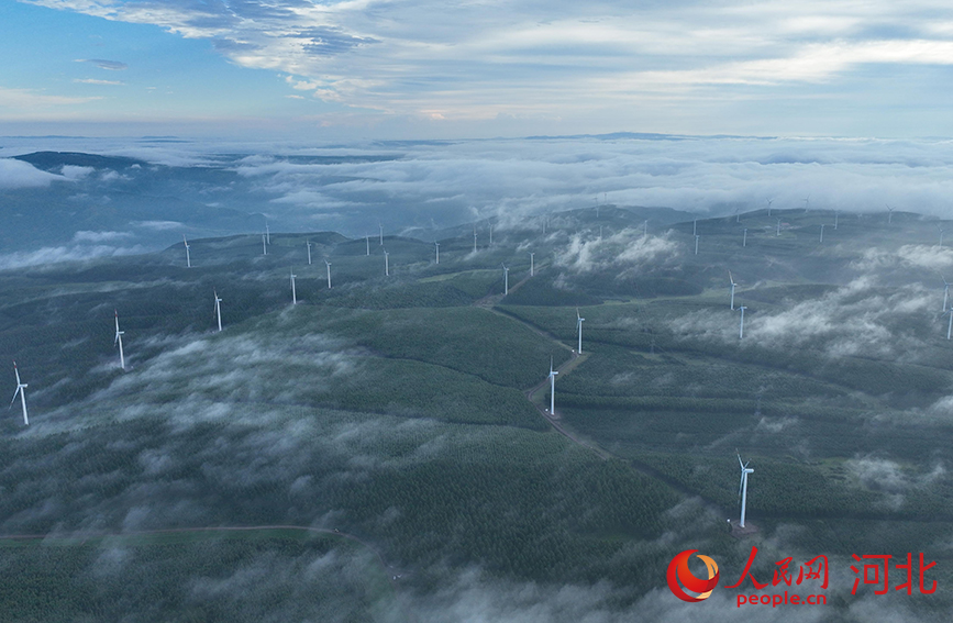 雨が上がり、朝霧に包まれた美しい塞罕壩　河北省