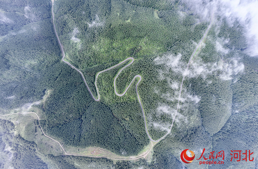 雨が上がり、朝霧に包まれた美しい塞罕壩　河北省