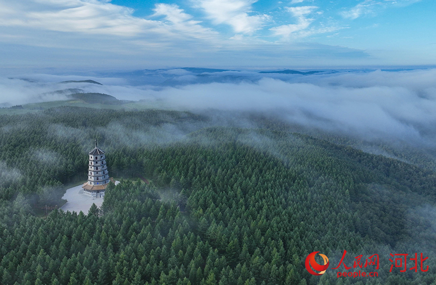雨が上がり、朝霧に包まれた美しい塞罕壩　河北省