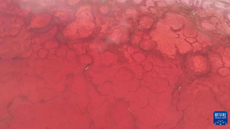 巴丹吉林砂漠に広がる砂漠と湖が世界自然遺産に　內(nèi)蒙古