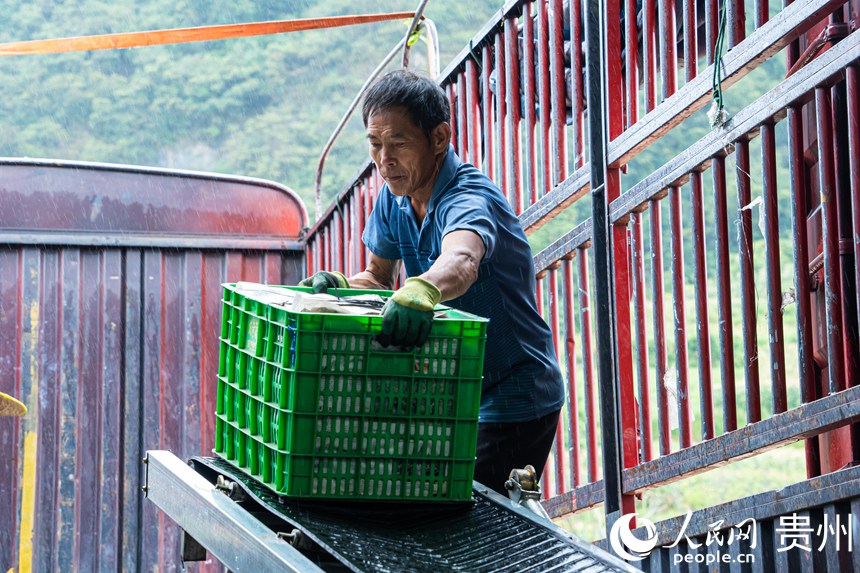 大灣區(qū)を?qū)澫螭趣筏恳安斯┙o拠點を構(gòu)築した貴州省麻江県