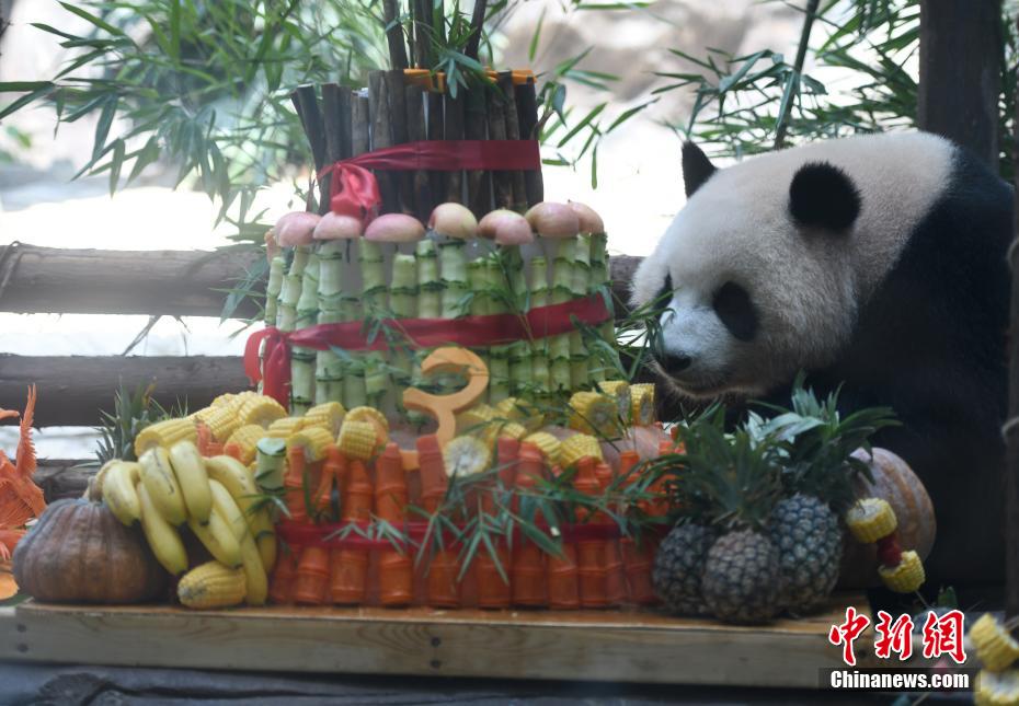 重慶の動物園がパンダ3頭の誕生日パーティー　ご當(dāng)?shù)廿哎毳幛扦￥?></a></td></tr><tr><td class=