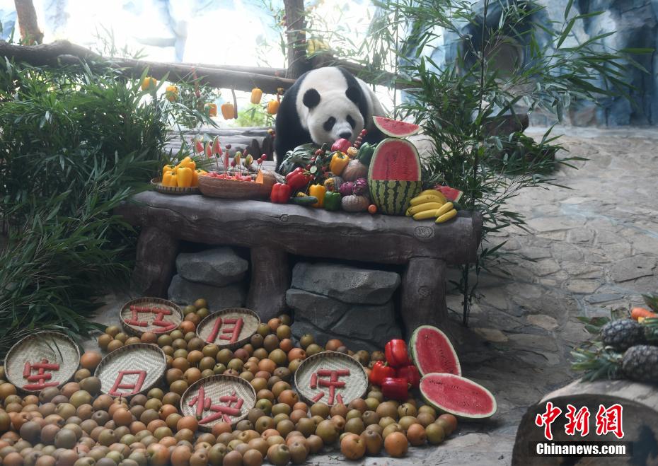 重慶の動物園がパンダ3頭の誕生日パーティー　ご當?shù)廿哎毳幛扦￥?></a></td></tr><tr><td class=