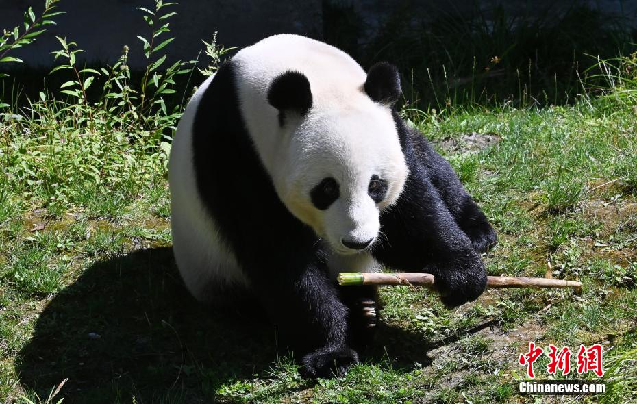 中國ライフを満?jiǎn)摔工朊讎蓼欷违弗悭ぅⅴ螗去靴螗馈感《Y物」　四川省九寨溝