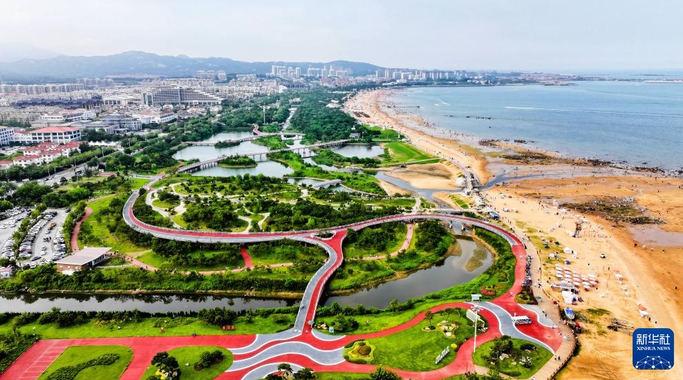 海洋生態(tài)系の修復(fù)で海岸沿いに広がる「グリーンベルト」　山東省