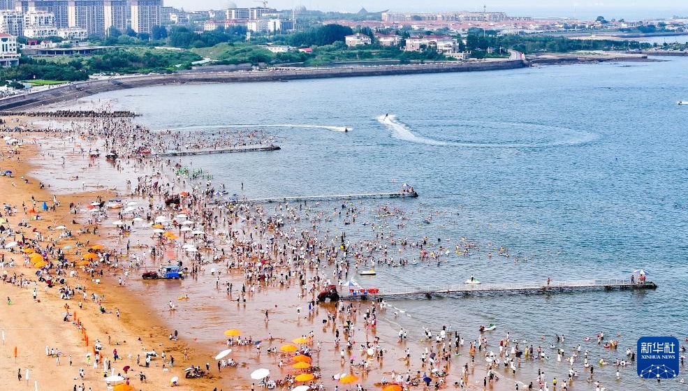 海洋生態(tài)系の修復(fù)で海岸沿いに広がる「グリーンベルト」　山東省