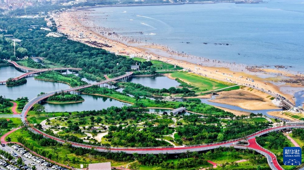 海洋生態(tài)系の修復(fù)で海岸沿いに広がる「グリーンベルト」　山東省