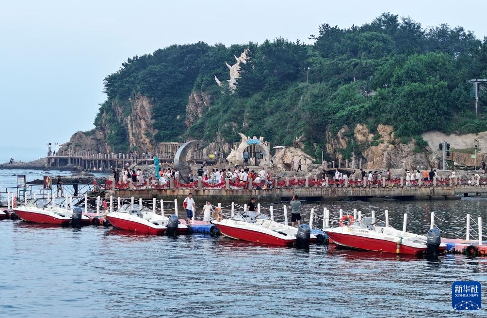 海洋生態(tài)系の修復(fù)で海岸沿いに広がる「グリーンベルト」　山東省