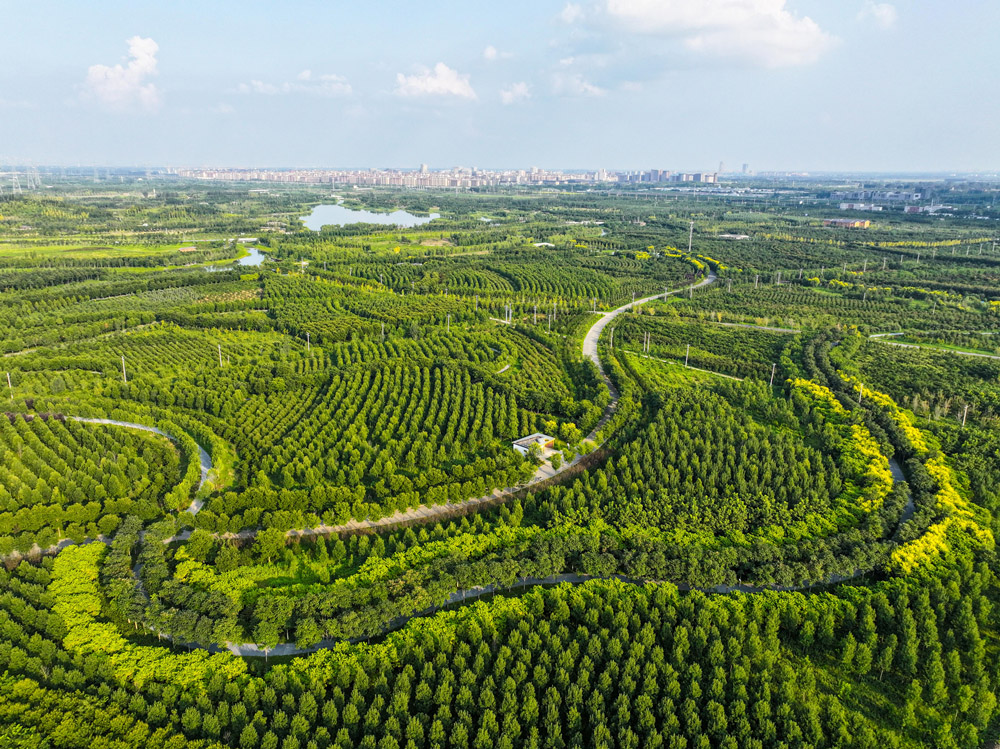 水と街が一體となった都市「雄安新區(qū)」　河北省