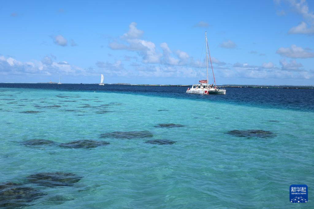 7月25日にモーリシャス東海岸の近海域で撮影されたサンゴの苗床。撮影?凌馨
