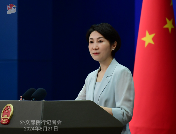 「黒神話：悟空」が世界的人気　外交部「中國(guó)文化の魅力の反映」