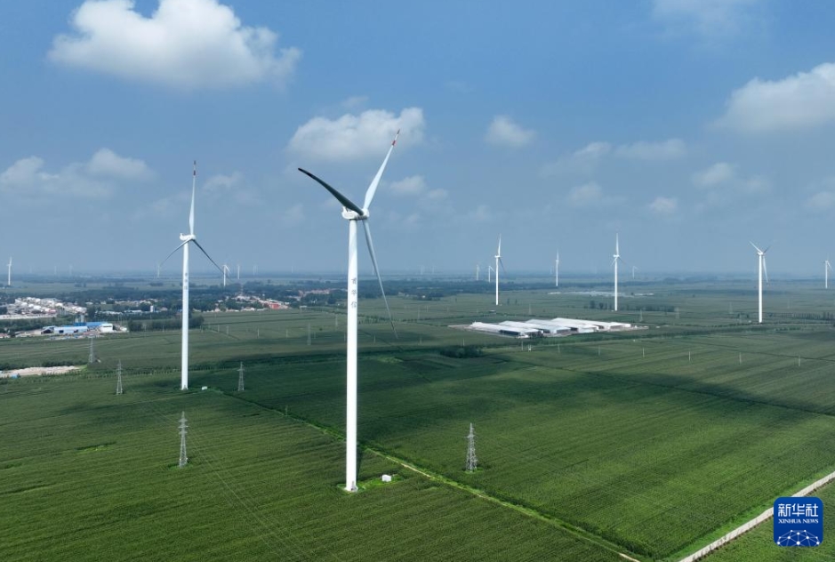 グリーン低炭素発展に寄與する再生可能エネルギープロジェクト建設(shè)　河北省衡水