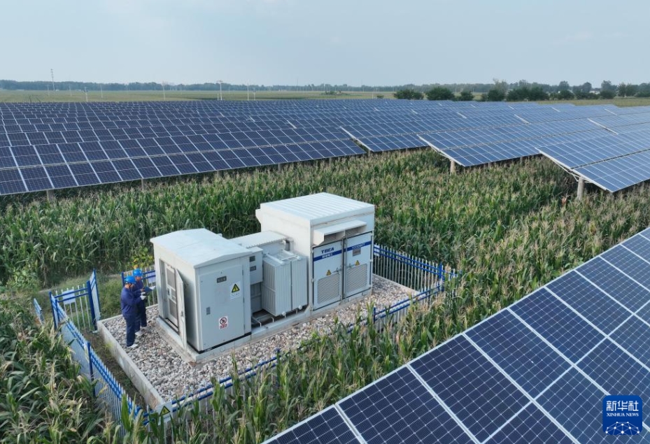 グリーン低炭素発展に寄與する再生可能エネルギープロジェクト建設　河北省衡水