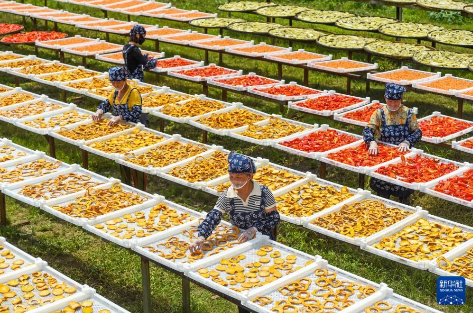 カラフルな天日干し「曬秋」　江西省銅鼓