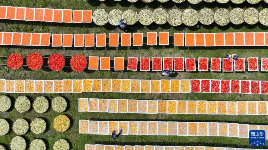 カラフルな天日干し「曬秋」　江西省銅鼓