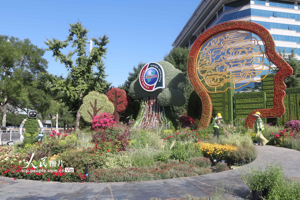 中國(guó)アフリカ協(xié)力フォーラムを控え、長(zhǎng)安街にテーマ花壇設(shè)置　北京