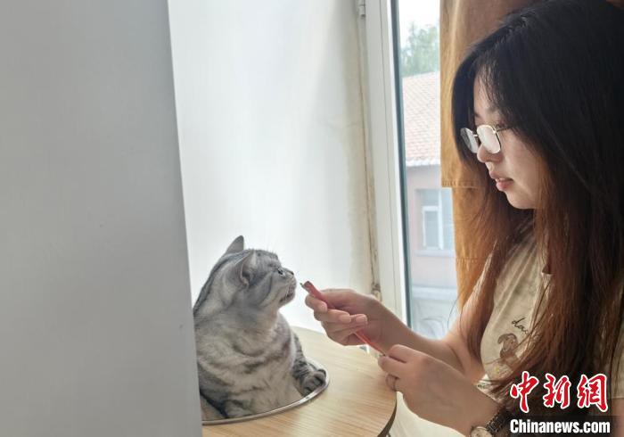8月23日、ネコに餌をあげる吉林省長(zhǎng)春市の孫麗潔さん（寫真提供?孫麗潔さん）。