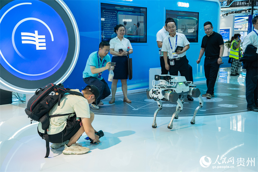 2024中國國際ビッグデータ産業(yè)博覧會、多くの新しい科學(xué)技術(shù)成果がお披露目