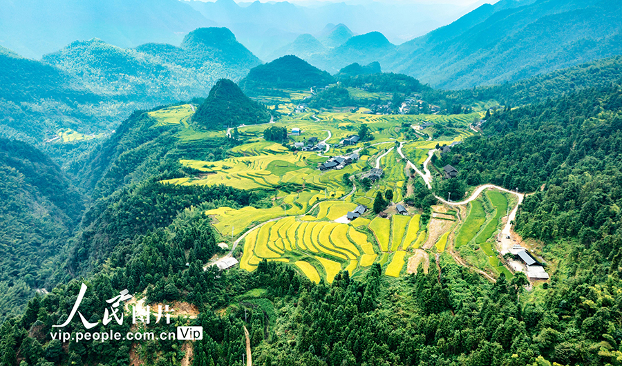収穫時(shí)期を迎えた棚田の美しい風(fēng)景　湖南省東安